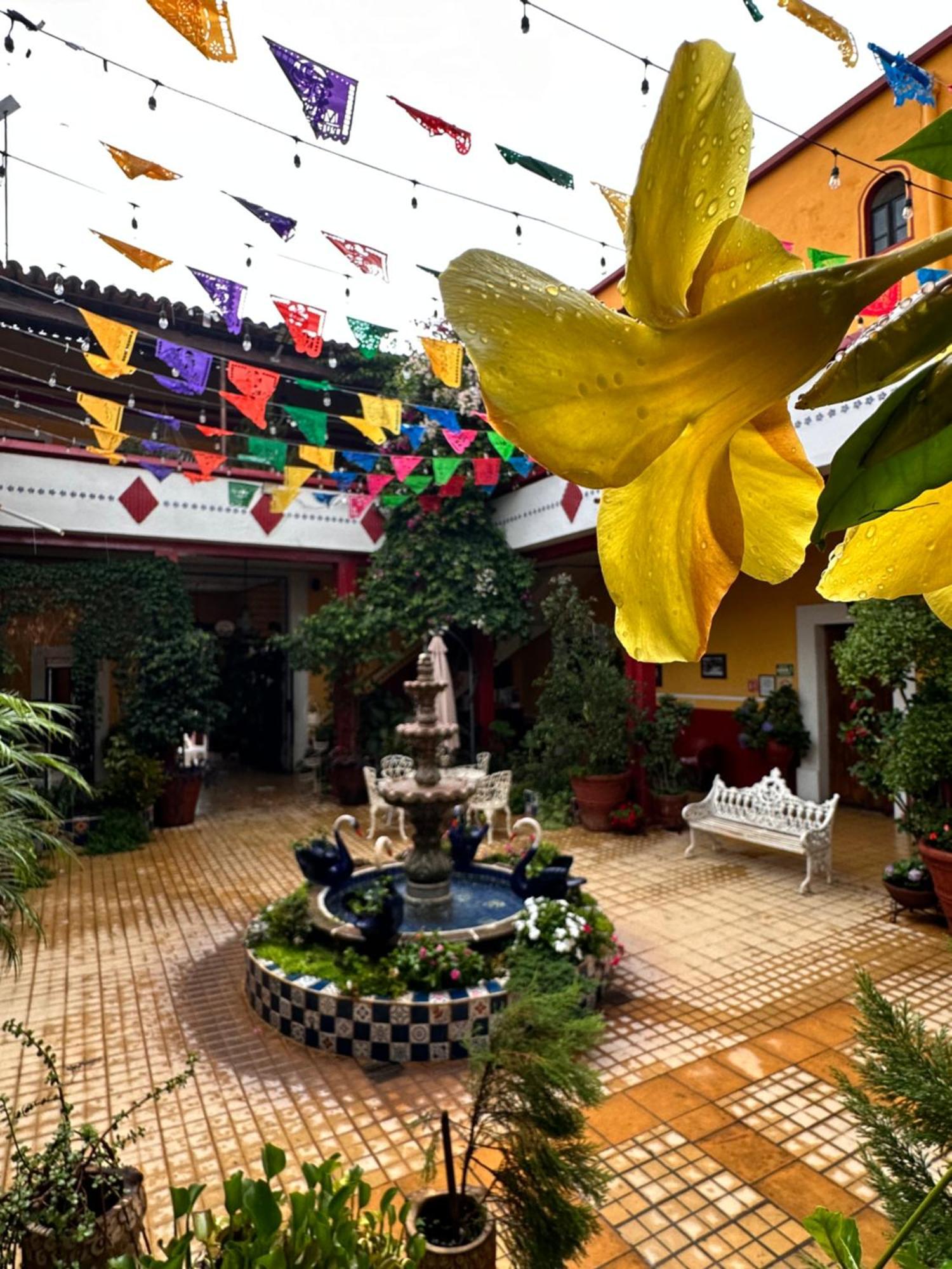 Copa De Oro Hotel Boutique Mascota Exterior photo